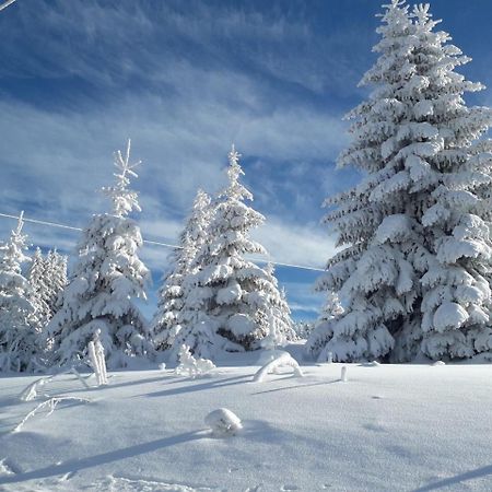 Apartman D52 Dvori Kopaonik Bagian luar foto
