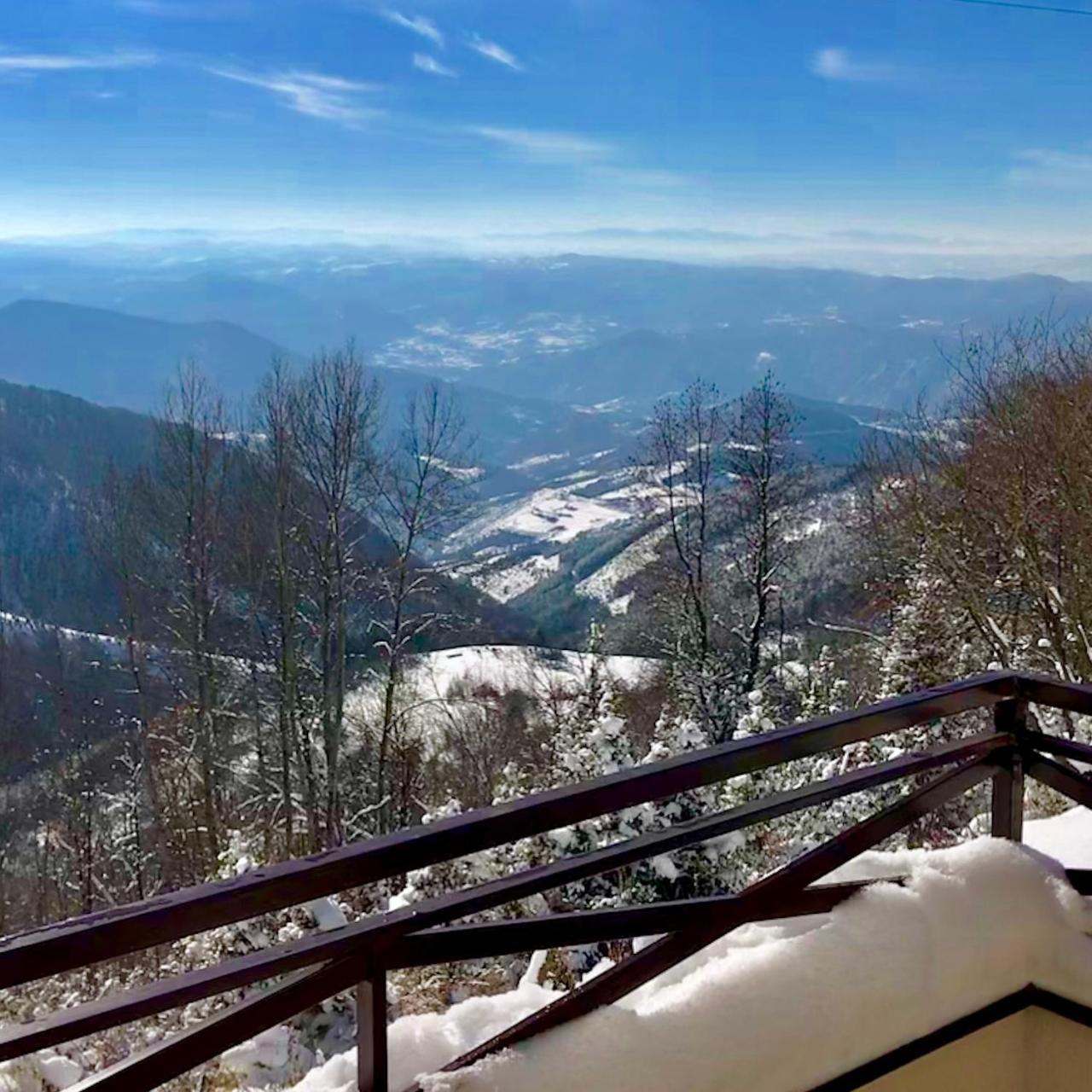 Apartman D52 Dvori Kopaonik Bagian luar foto