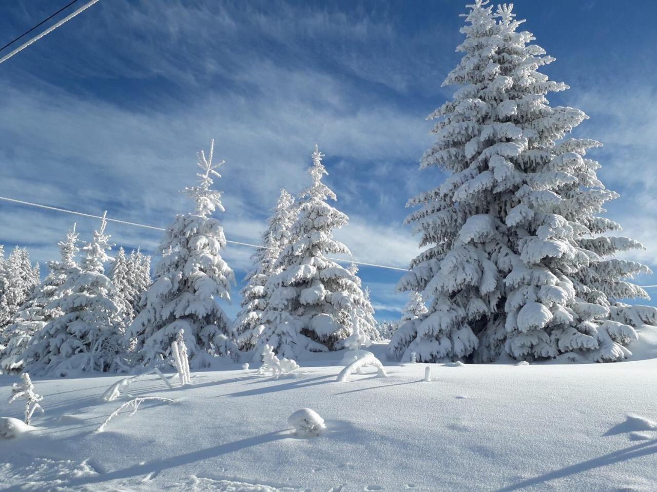 Apartman D52 Dvori Kopaonik Bagian luar foto
