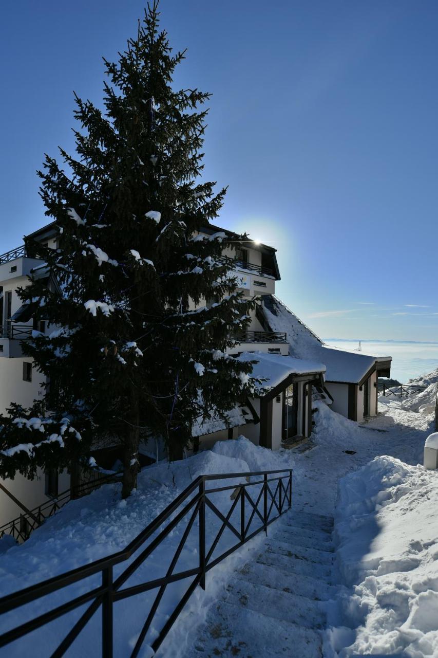 Apartman D52 Dvori Kopaonik Bagian luar foto